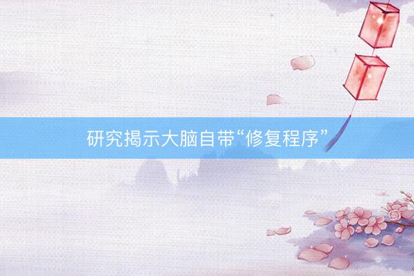 研究揭示大脑自带“修复程序”