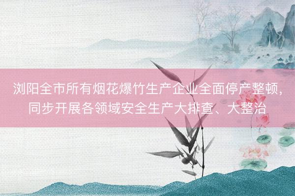 浏阳全市所有烟花爆竹生产企业全面停产整顿，同步开展各领域安全生产大排查、大整治