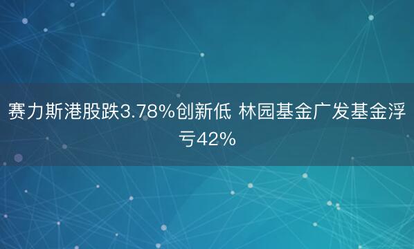赛力斯港股跌3.78%创新低 林园基金广发基金浮亏42%