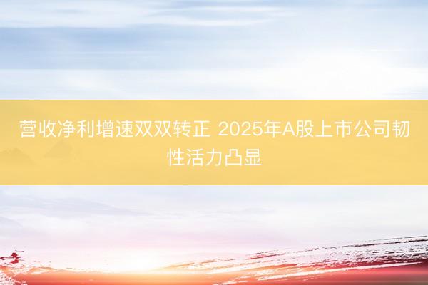 营收净利增速双双转正 2025年A股上市公司韧性活力凸显