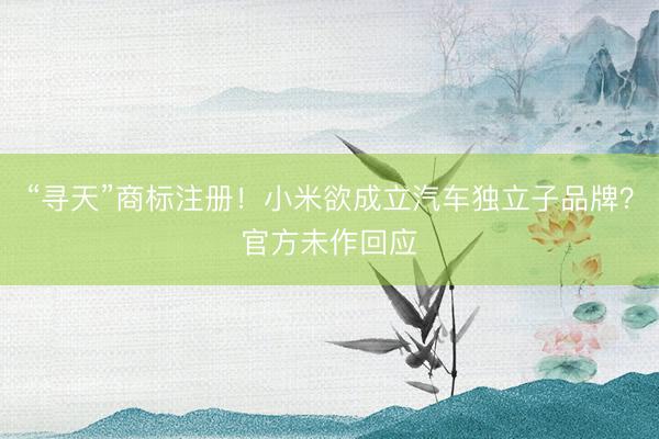 “寻天”商标注册!小米欲成立汽车独立子品牌?官方未作回应