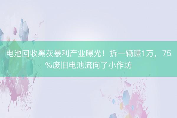 电池回收黑灰暴利产业曝光!拆一辆赚1万,75%废旧电池流向了小作坊
