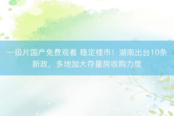 一级片国产免费观看 稳定楼市！湖南出台10条新政，多地加大存量房收购力度