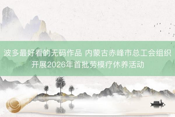 波多最好看的无码作品 内蒙古赤峰市总工会组织开展2026年首批劳模疗休养活动