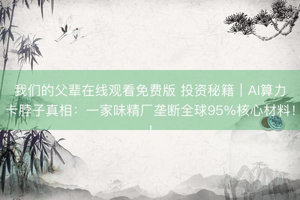 我们的父辈在线观看免费版 投资秘籍｜AI算力卡脖子真相：一家味精厂垄断全球95%核心材料！