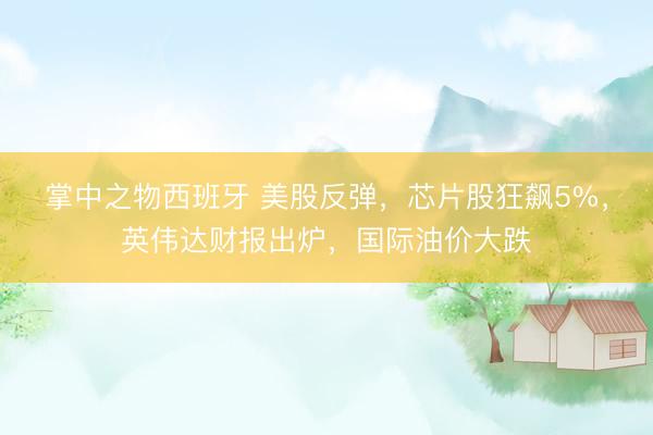 掌中之物西班牙 美股反弹，芯片股狂飙5%，英伟达财报出炉，国际油价大跌