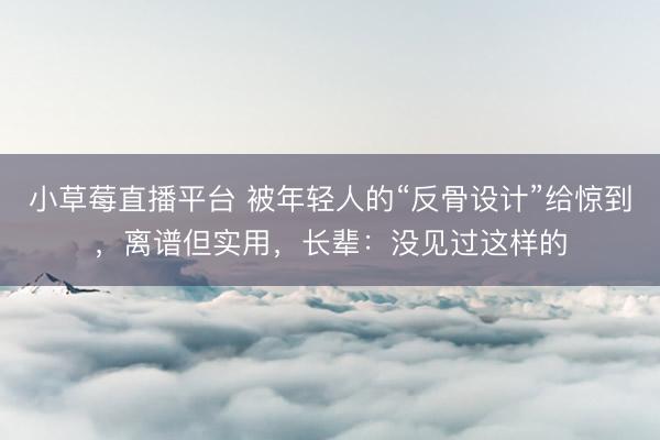 小草莓直播平台 被年轻人的“反骨设计”给惊到，离谱但实用，长辈：没见过这样的