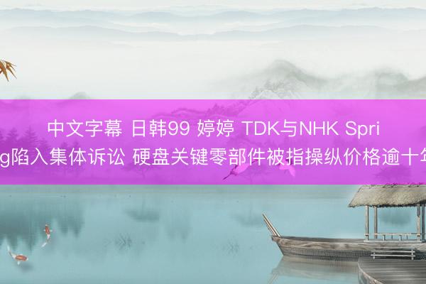 中文字幕 日韩99 婷婷 TDK与NHK Spring陷入集体诉讼 硬盘关键零部件被指操纵价格逾十年