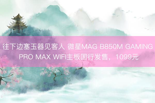 往下边塞玉器见客人 微星MAG B850M GAMING PRO MAX WIFI主板国行发售，1099元