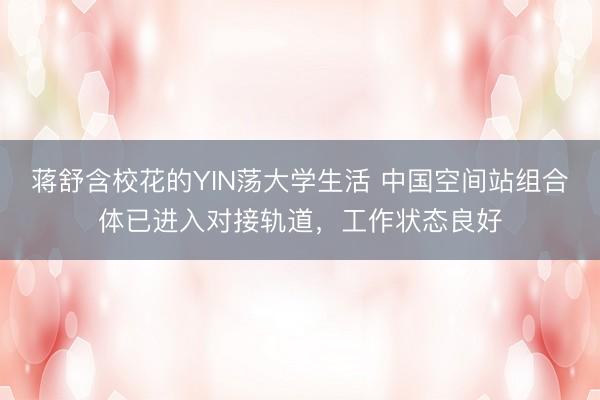 蒋舒含校花的YIN荡大学生活 中国空间站组合体已进入对接轨道，工作状态良好