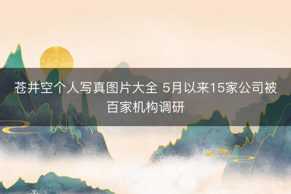 苍井空个人写真图片大全 5月以来15家公司被百家机构调研