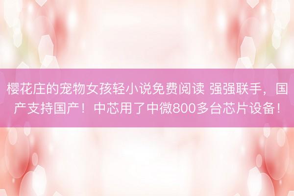 樱花庄的宠物女孩轻小说免费阅读 强强联手，国产支持国产！中芯用了中微800多台芯片设备！