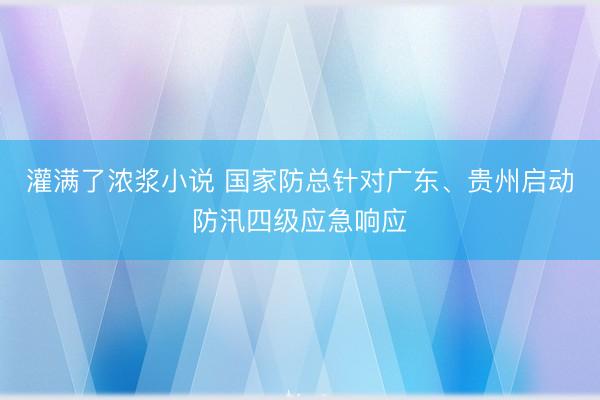 灌满了浓浆小说 国家防总针对广东、贵州启动防汛四级应急响应