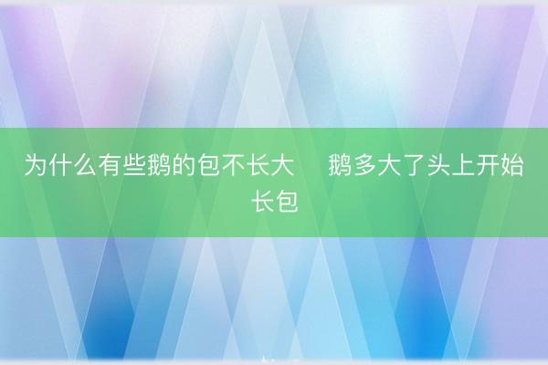 为什么有些鹅的包不长大 鹅多大了头上开始长包