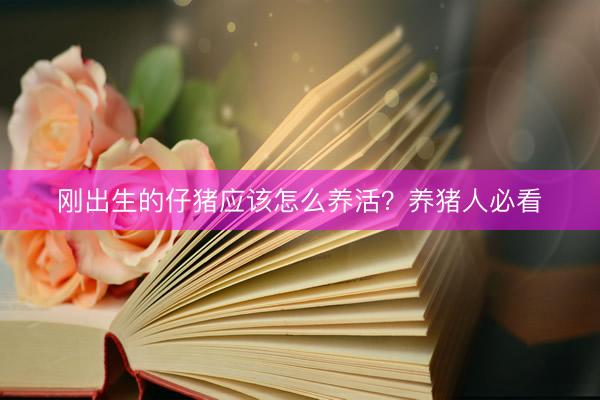 刚出生的仔猪应该怎么养活?养猪人必看
