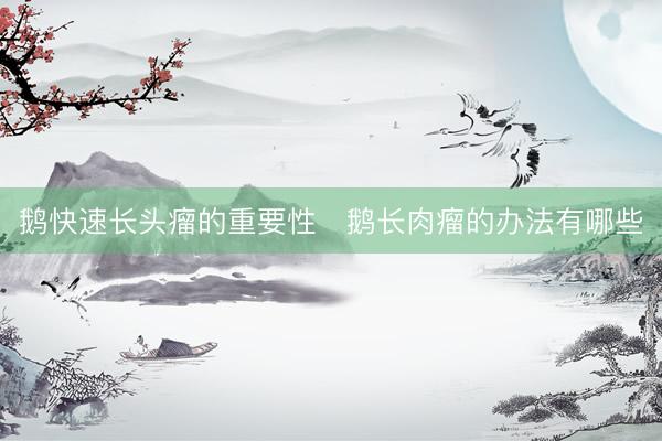鹅快速长头瘤的重要性 鹅长肉瘤的办法有哪些