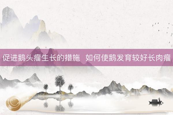 促进鹅头瘤生长的措施 如何使鹅发育较好长肉瘤