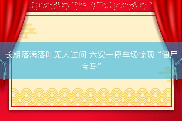 长期落满落叶无人过问 六安一停车场惊现 “僵尸宝马”