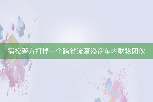 宿松警方打掉一个跨省流窜盗窃车内财物团伙