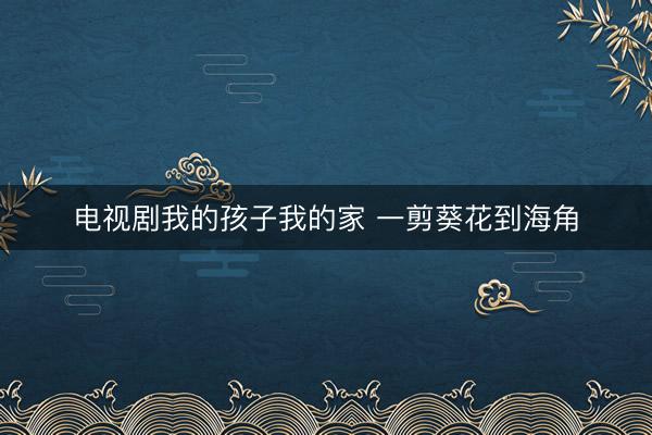 电视剧我的孩子我的家 一剪葵花到海角