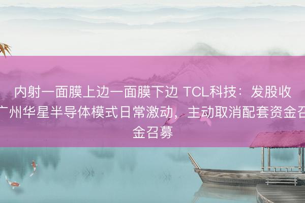 内射一面膜上边一面膜下边 TCL科技：发股收购广州华星半导体模式日常激动，主动取消配套资金召募