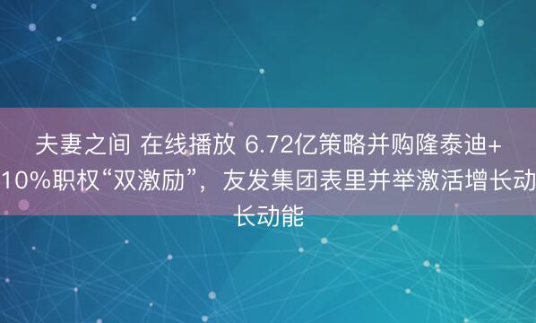 夫妻之间 在线播放 6.72亿策略并购隆泰迪+超10%职权“双激励”，友发集团表里并举激活增长动能
