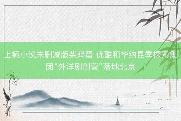 上瘾小说未删减版柴鸡蛋 优酷和华纳昆季探索集团“外洋剧创营”落地北京