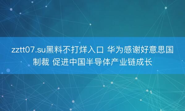 zztt07.su黑料不打烊入口 华为感谢好意思国制裁 促进中国半导体产业链成长