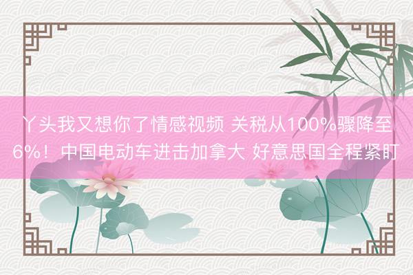 丫头我又想你了情感视频 关税从100%骤降至6%！中国电动车进击加拿大 好意思国全程紧盯
