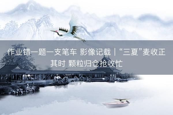 作业错一题一支笔车 影像记载｜“三夏”麦收正其时 颗粒归仓抢收忙