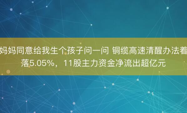 妈妈同意给我生个孩子问一问 铜缆高速清醒办法着落5.05%，11股主力资金净流出超亿元