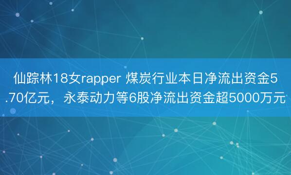 仙踪林18女rapper 煤炭行业本日净流出资金5.70亿元，永泰动力等6股净流出资金超5000万元