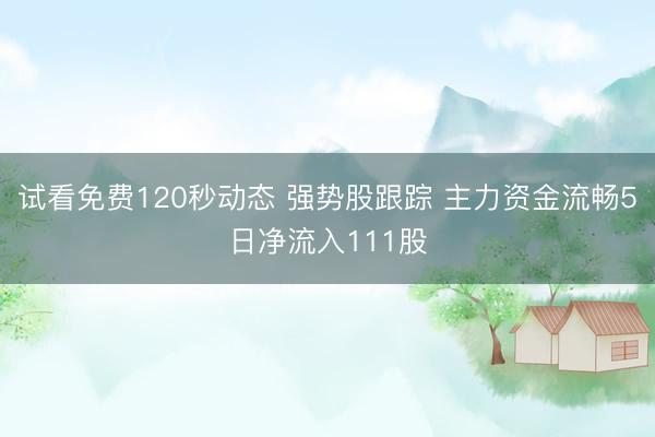 试看免费120秒动态 强势股跟踪 主力资金流畅5日净流入111股