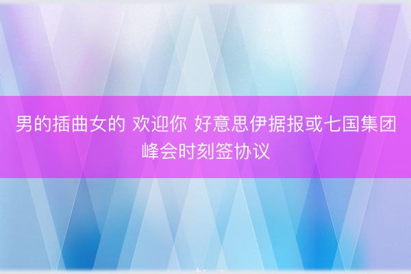 男的插曲女的 欢迎你 好意思伊据报或七国集团峰会时刻签协议