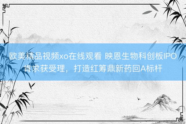 欧美精品视频xo在线观看 映恩生物科创板IPO肯求获受理,打造红筹鼎新药回A标杆