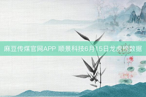 麻豆传煤官网APP 顺景科技6月15日龙虎榜数据
