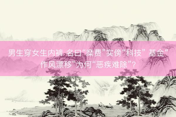 男生穿女生内裤 名曰“糜费”实傍“科技” 基金“作风漂移”为何“恶疾难除”?