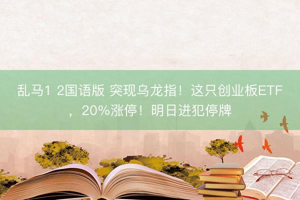 乱马1 2国语版 突现乌龙指！这只创业板ETF，20%涨停！明日进犯停牌