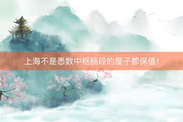 上海不是悉数中枢肠段的屋子都保值!